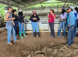 Los universitarios aplicaron métodos de manejo zootécnico como la evaluación sanitaria mediante el método FAMACHA para detectar anemia por parásitos internos. Foto. Cortesía
