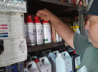 Las inspecciones representan una herramienta continua para garantizar el uso adecuado de los insumos agrícolas y pecuarios en la Costa Arriba.