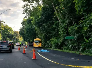 La víctima falleció en la escena del atropello.  /  Foto: TraficoCpanama