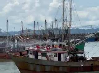 : Panamá reanudó la pesca de camarón este 11 de octubre tras 41 días de veda. La temporada estará abierta hasta el 31 de enero de 2027.