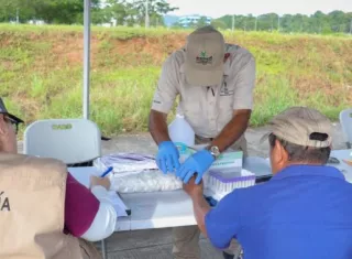 Minsa asegura que es seguro comprar alimentos en Merca pese a casos de malaria