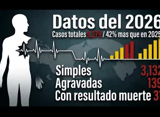 Panamá, Panamá Oeste y Chiriquí concentran la mayoría de los casos. / Gráfico generado con IA