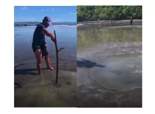 Residentes y personas en redes sociales piden que el Sinaproc, el Ministerio de Ambiente, la Universidad de Panamá y las autoridades locales investiguen el área de la playa de Búcaro. 