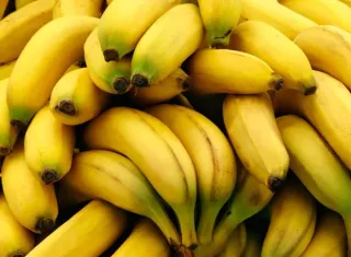 El banano figura entre los productos que Panamá coloca en los mercados internacionales. Foto: Cortesía