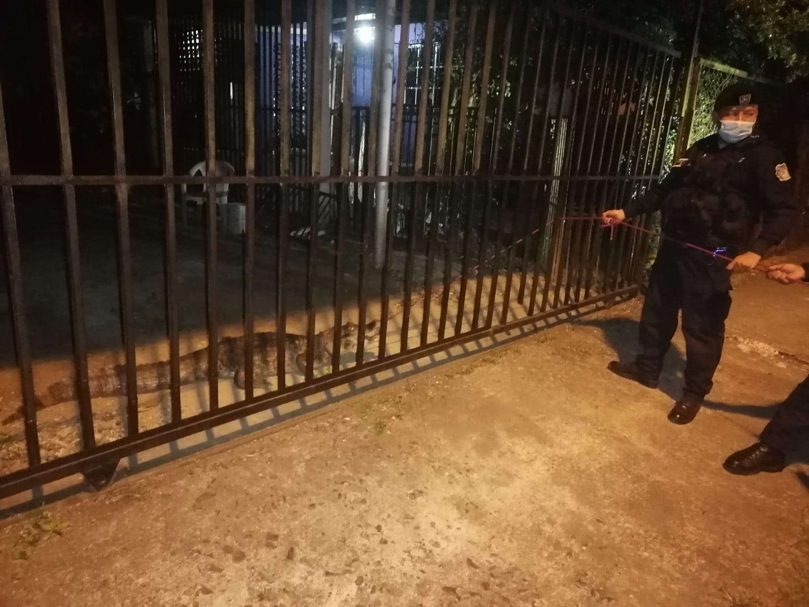 La mujer llamó de inmediato a la Policía Nacional para que vinieran a sacar al animal silvestre de su residencia.