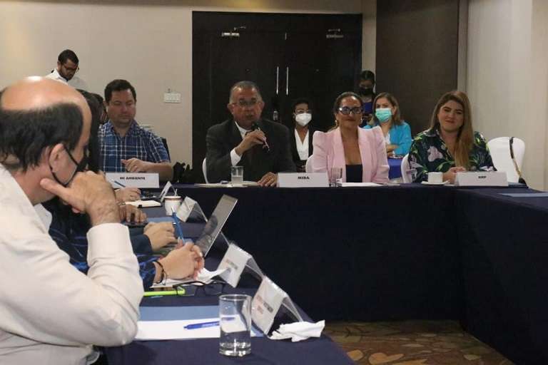 Comisión es presidida por el ministro del Mida, Augusto Valderrama y la administradora general de la Arap, Flor Torrijos, como secretaria.