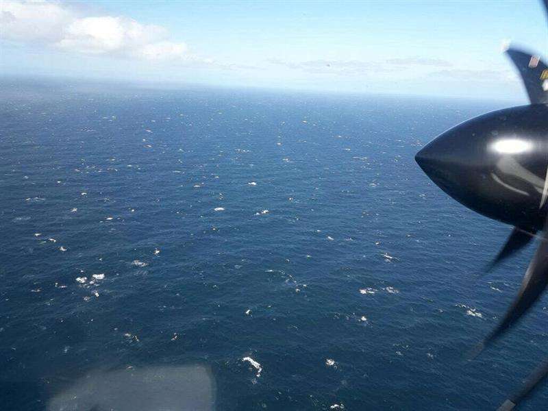 Fotografía cedida por la Armada Argentina ayer, que muestra la operación de un avión en la búsqueda del submarino ARA San Juan. EFE