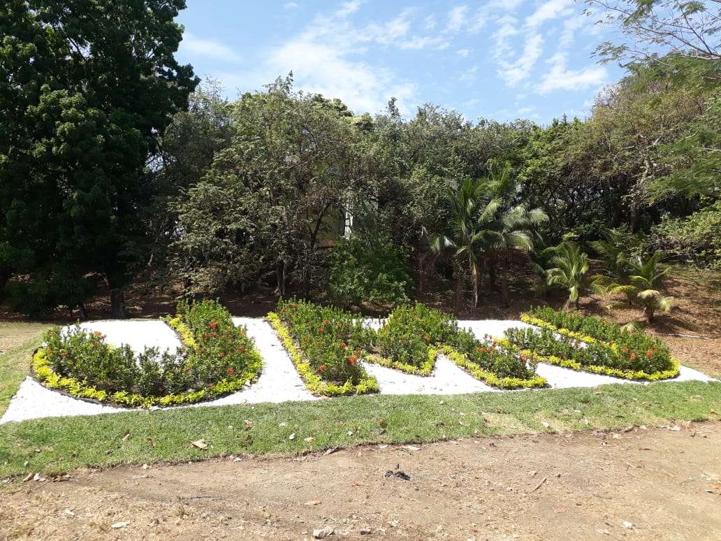 Vista de una instalación alusiva a JMJ realizada con plantas ornamentales en los predios de la Universidad Santa María La Antigua. Foto: Edwards Santos