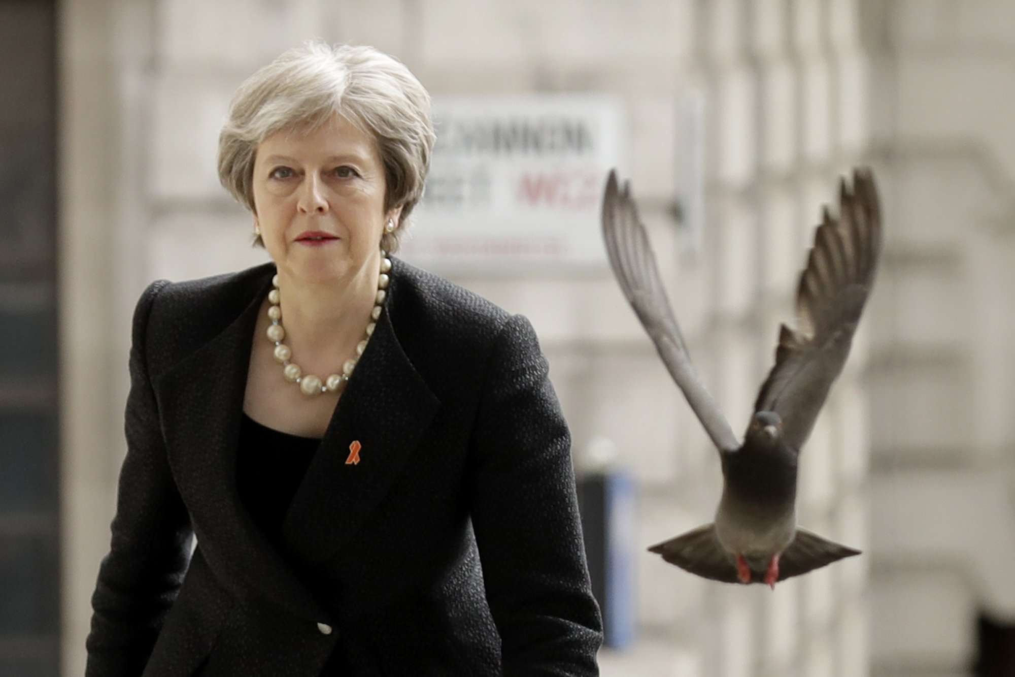 Foto de del lunes 23 de abril de 2018, una paloma despega cuando la Primera Ministra de Gran Bretaña, Theresa May, llega a un Servicio en Memoria para conmemorar el 25 aniversario del asesinato del adolescente negro Stephen Lawrence en Londres. Foto AP