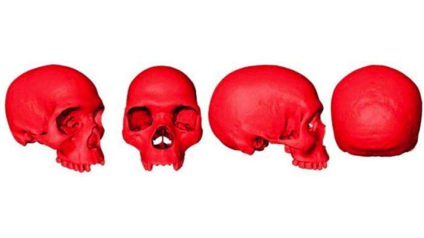 Para los investigadores, este es un cráneo &quot;sorprendentemente moderno&quot;. (Foto: © Aurélien Mounier / CNRS-MNHN)