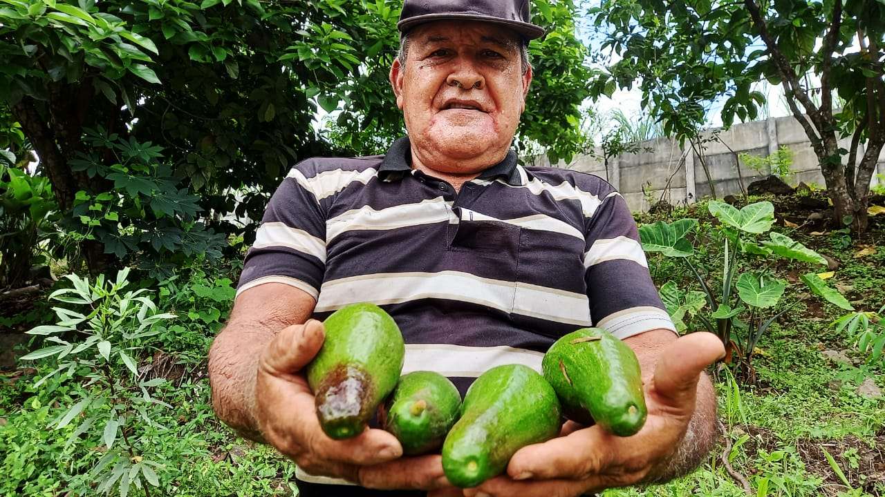 Jubilado cultiva productos para su consumo y para vender. Foto: Edwards Santos