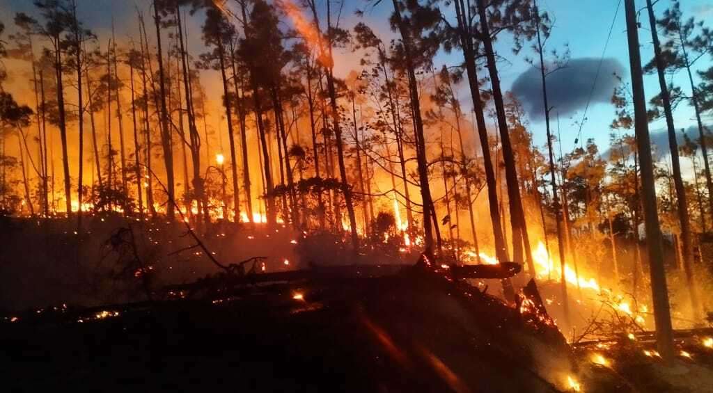 Siguen combatiendo el incendio forestal en La Yeguada.