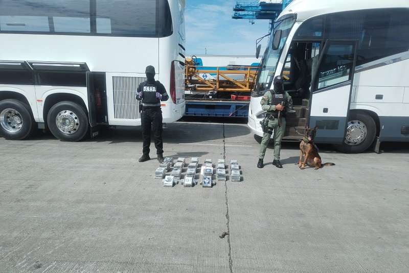 Los paquetes rectangulares estaban escondidos en dos buses que eran transportados desde Puerto Dos Santos en Brasil con tránsito por Panamá.