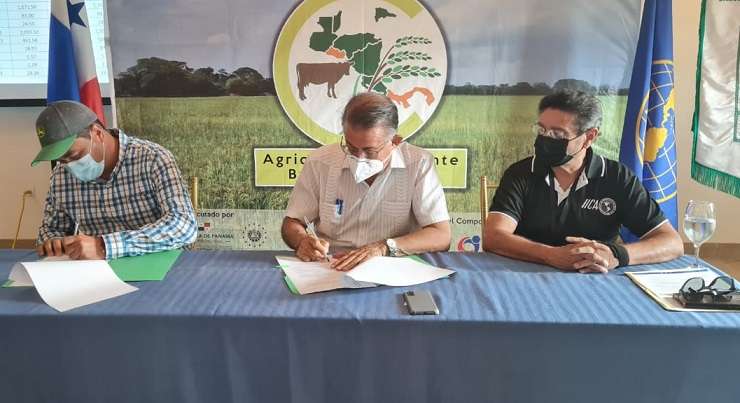 El acuerdo de cooperación público-privado tiene la finalidad de desarrollar las Normativas Apropiadas de Mitigación (NAMA, por sus siglas en inglés) para disminuir la emisión de gases de efecto invernadero en el cultivo de arroz.