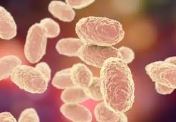 Minsa confirma primer caso de tosferina en Los Santos