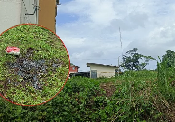 Adolescente en estado delicado tras balazo en la cabeza en Colón