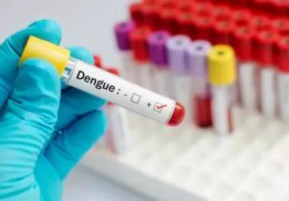 Pica duro: 637 casos de dengue y dos muertos en el 2026