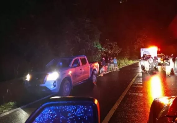 ¡Tragedia! Hombre muere electrocutado mientras podaba una palmera