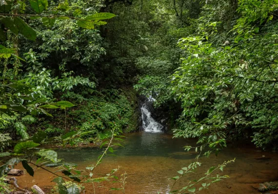 Cobran multa millonaria por contaminar río La Villa