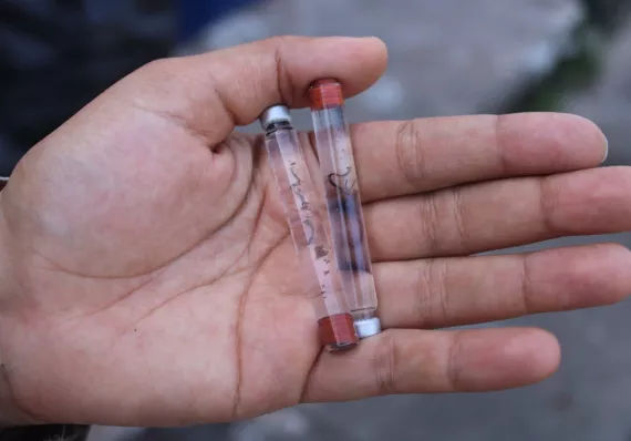 Dengue no da tregua: van 1,670 casos y 6 muertes