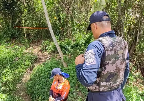 Hallan muerto a adulto mayor desaparecido: tenía picadas de abejas en la cara