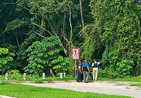 Hallan cadáver en descomposición en Costa Sur