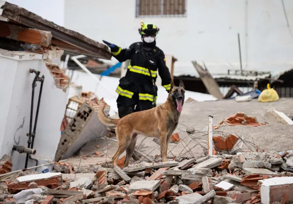 Muertos por terremotos se elevan a 1,450