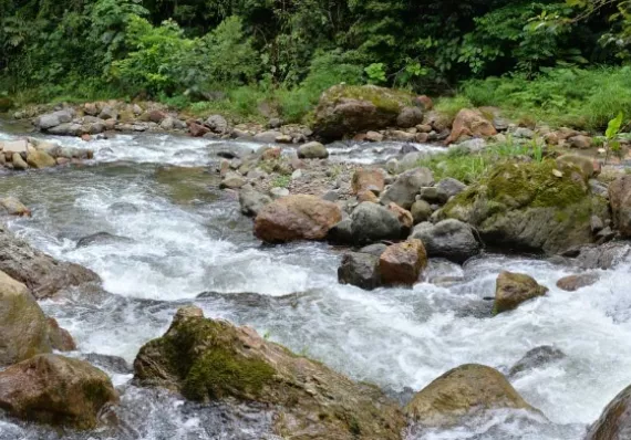 El agua en Panamá: un tesoro mal gestionado que exige soluciones urgentes