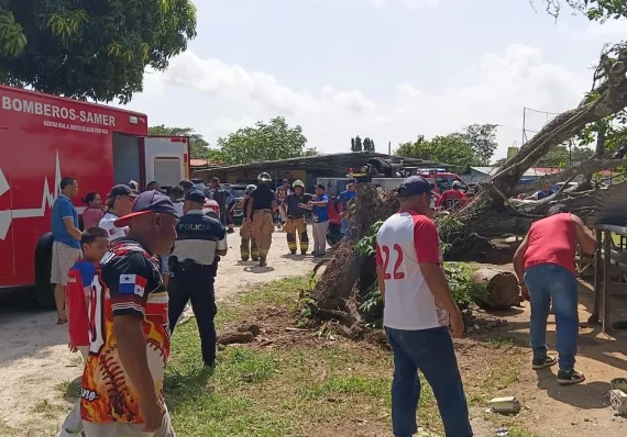 Día deportivo casi termina en tragedia tras la caída de un árbol