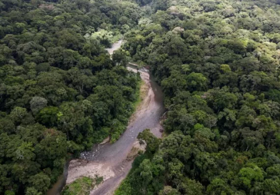 ¡El Clan del Golfo domina la minería ilegal del Darién!
