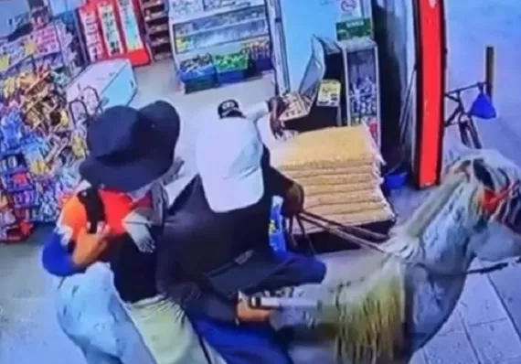 El caballo del asalto en Antón aparece y ahora buscan a su dueño