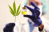 Cannabis Medicinal: Minsa instala Consejo Técnico