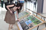 Exposición para promover la conservación ambiental