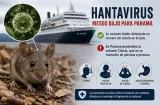 Cepa peligrosa de hantavirus no circula en Panamá, asegura el MINSA