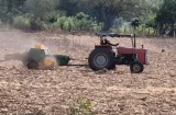 FALTA DE LLUVIA PROVOCA CULILLO ENTRE GANADEROS