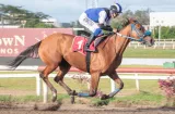 Jaque Doble saldrá del carril N.°4 en el Felipe E. Motta