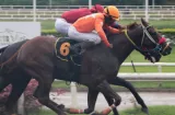 Regresan carreras de los jueves al hipódromo 