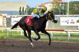 Doña Perfecta logra primeros puntos para el Dama del Caribe