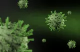 Adultos en edad productiva, los más afectados por el norovirus; se han reportado 510 casos