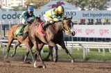 Doña Perfecta sale como favorita en el Clásico de la familia Duque 