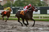 Nueve caballos inician ruta para el Clásico Internacional del Caribe