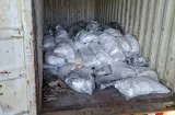109 sacos de aletas de tiburón son retenidos en puerto de Colón