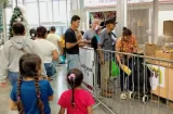 IMA comprará mil cerdos a productores nacionales