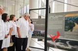 Mulino abre obra que dejaron a medio palo