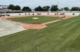 Colocan grama al Estadio Rico Cedeño