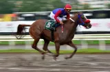 Wonder Lady se clasificó para el Confraternidad del Caribe 