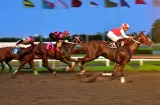 Daddy King sella boleto al Velocidad del Caribe​