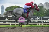 Macho Mule galopó ayer en clásico de los Fernández 