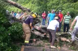 Buscan crear ley especial para atender emergencias por sismos