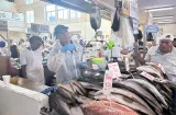 Revisan balanzas en mercados de pescado en todo el país